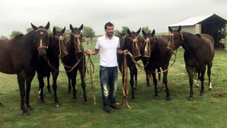 Κλωνοποιημένες φοράδες κάνουν σπουδαία καριέρα στο πόλο