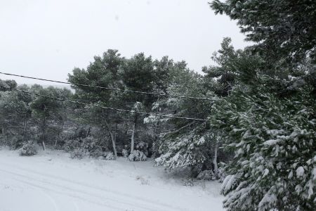 Αττική: Σε ποιες περιοχές θα είναι κλειστά τα σχολεία