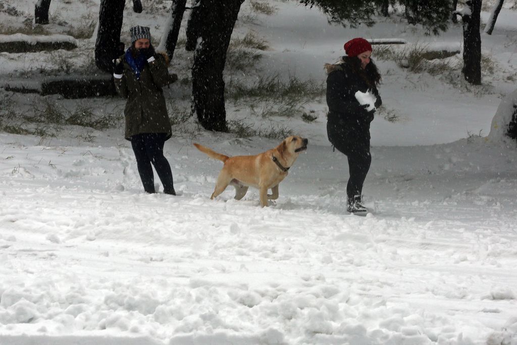 Ερχεται νέος χιονιάς το τριήμερο των Φώτων