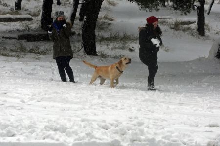 Ερχεται νέος χιονιάς το τριήμερο των Φώτων