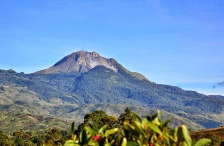 Αποκαλύφθηκε άγνωστος παράδεισος βιοποικιλότητας