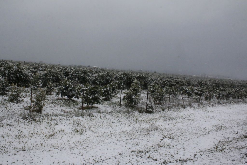 Απίστευτη ταλαιπωρία με επί δέκα ώρες κλειστή την εθνική Πατρών-Κορίνθου