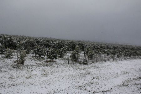 Απίστευτη ταλαιπωρία με επί δέκα ώρες κλειστή την εθνική Πατρών-Κορίνθου