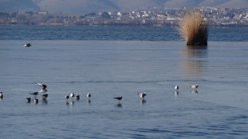 Ηπειρος: Μεγάλα έργα για οδοφωτισμό και εξοικονόμηση ενέργειας