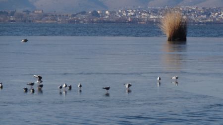 Ηπειρος: Μεγάλα έργα για οδοφωτισμό και εξοικονόμηση ενέργειας