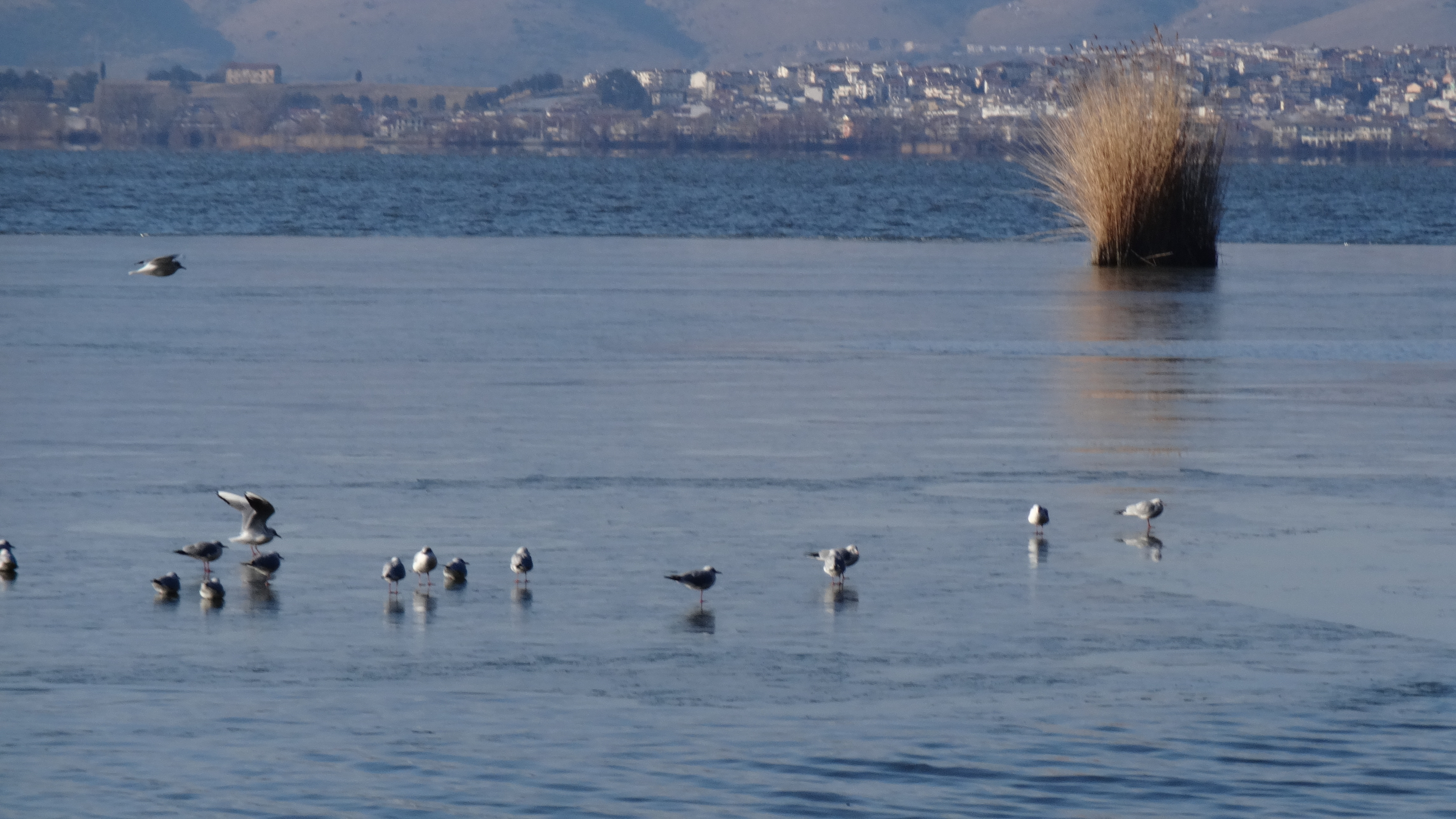 Ηπειρος: Μεγάλα έργα για οδοφωτισμό και εξοικονόμηση ενέργειας