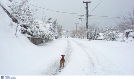 Σε «λευκό κλοιό» η χώρα, ανοιχτά τα οδικά δίκτυα