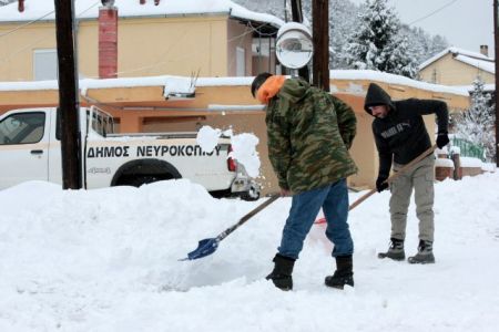 Αποστόλου: Εξετάζουμε την ενίσχυση κτηνοτρόφων που επλήγησαν από το χιονιά