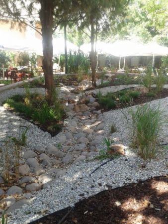 Πόσο πράσινη είναι η Αθήνα;