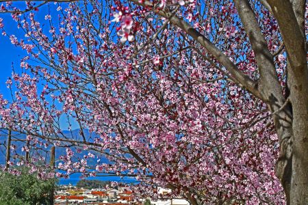 Καιρός: Αραιή συννεφιά και μικρή άνοδος της θερμοκρασίας