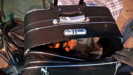 Πρόσφυγας μετέφερε τον 23χρονο γιο της μέσα στη βαλίτσα της