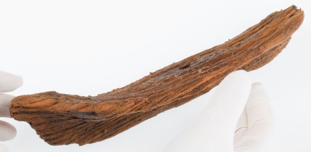 Επαιζαν τα παιδιά των Βίκινγκς;