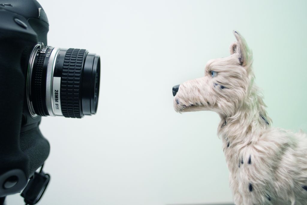 Απόβαση στο «Νησί των Σκύλων»