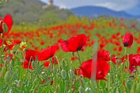 Ξεχωριστά τα έθιμα της Μεγάλης Εβδομάδας σε κάθε γωνιά της Ελλάδας