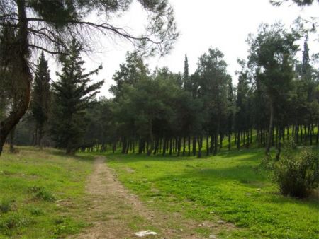 Μέσω ΕΣΠΑ η παρέμβαση για το άλσος Νέας Φιλαδέλφειας