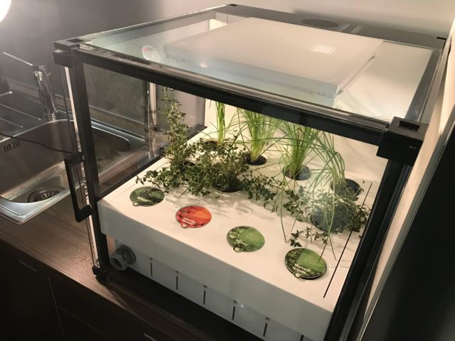 Ελληνική πατέντα για κήπο στο σπίτι κατακτά το Λονδίνο