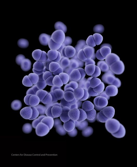 Οι ανθεκτικοί στα αντιβιοτικά εντερόκοκκοι παλαιότεροι από τους δεινοσαύρους