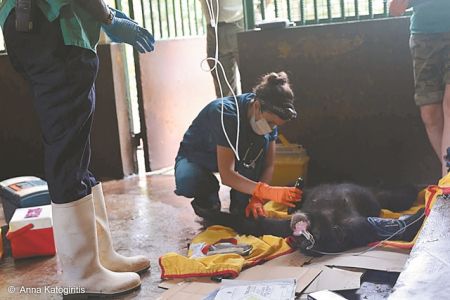 «Κανένα άγριοζώο δεν αξίζει να ζει τη ζωή του ως έκθεμα»