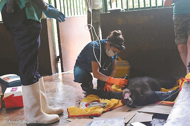 «Κανένα άγριοζώο δεν αξίζει να ζει τη ζωή του ως έκθεμα»