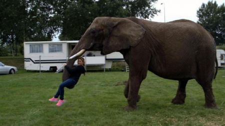 Στον κόσμο της Μέρνα, του Αμάντ, της Σάρον και του Μπούμπα
