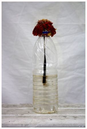 Νεότητα vs παράνοιαs