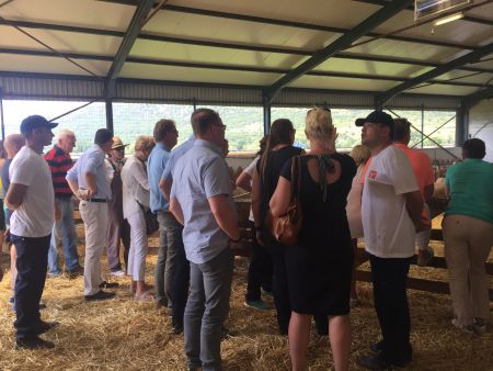 Αύξηση εξαγωγών 40% για τη Δωδώνη την τελευταία τριετία