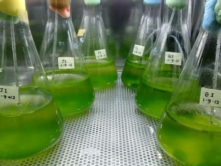 Πιο κοντά στο συνθετικό πετρέλαιο