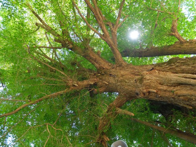 Οι survivors της πυρηνικής καταστροφής