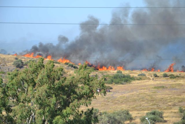 Πέντε τραυματίες από πυρκαγιές στα Οινόφυτα και στο Ζευγολατιό