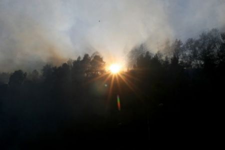 Πύρινα μέτωπα σε Κέρκυρα και Ζάκυνθο