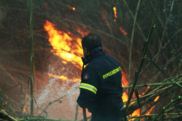Μεγάλη πυρκαγιά στα Διάσελα Ηλείας – Υπό έλεγχο στη Λιθακιά Ζακύνθου