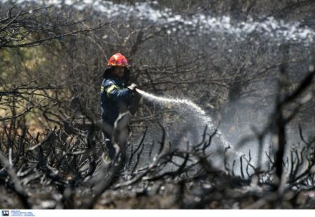 Πυρκαγιά σε δύσβατο σημείο στο Εξωχώρι Μεσσηνίας