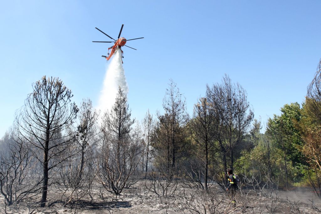 Ολονύχτια μάχη με τις φλόγες στη Λευκίμμη Σουφλίου