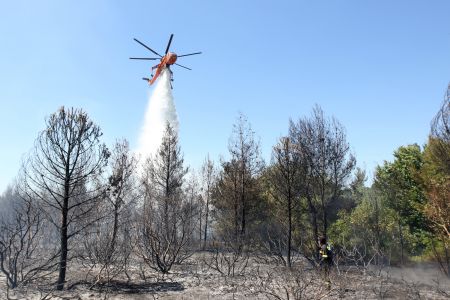 Ολονύχτια μάχη με τις φλόγες στη Λευκίμμη Σουφλίου