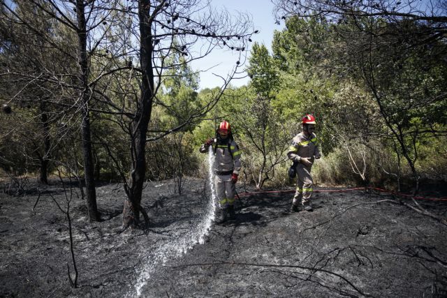 Υπό μερικό έλεγχο τα πύρινα μέτωπα σε Κρυονέρι και Αρτέμιδα