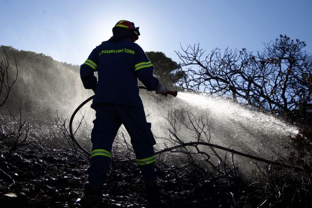 Σαράντα δύο δασικές πυρκαγιές σε όλη την Ελλάδα, το τελευταίο 24ωρο