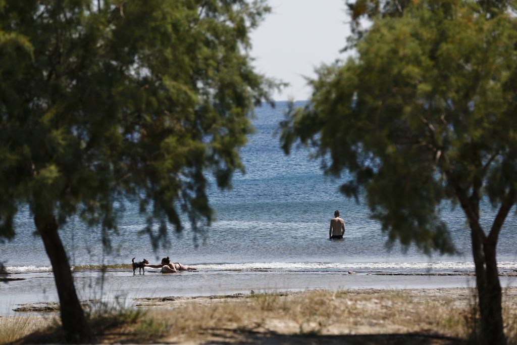Αυξημένα τα δημόσια έσοδα από τις δημοπρασίες παραλιών