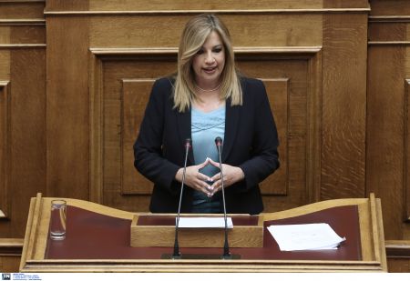 Ανησυχία για το μέλλον της Κύπρου στην δευτερολογία της Φ. Γεννηματά