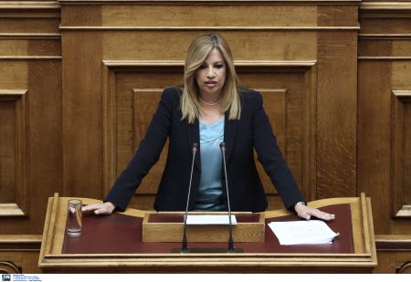 Γεννηματά: Πρέπει να πέσει το τελευταίο τείχος της Ευρώπης, στην Κύπρο