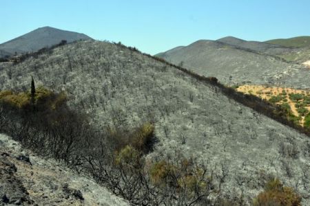 Ενδεχόμενο σχεδίου εμπρησμών στη Ζάκυνθο ερευνά η Πυροσβεστική
