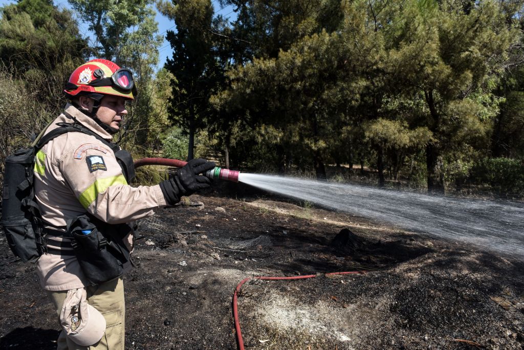 Πυρκαγιά σε δασική έκταση στο Πικέρμι