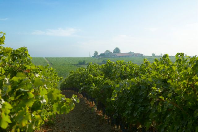 Τριετής παράταση με φόντο τη νομιμοποίηση των εκχερσωμένων