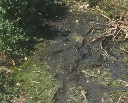 Κάτοικοι της Μήλου εναντίον του δημάρχου για νερό, σκουπίδια και λύματα