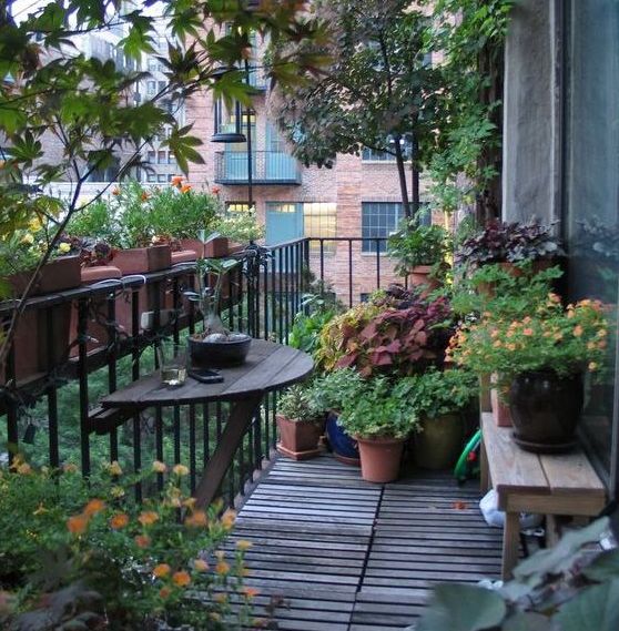 Πότισμα των φυτών κατά την περίοδο των διακοπών