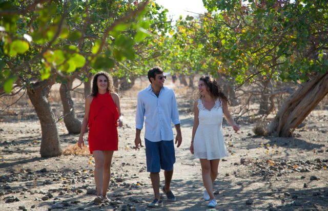 Ο Μόλυβος αναζητεί την κάθαρση