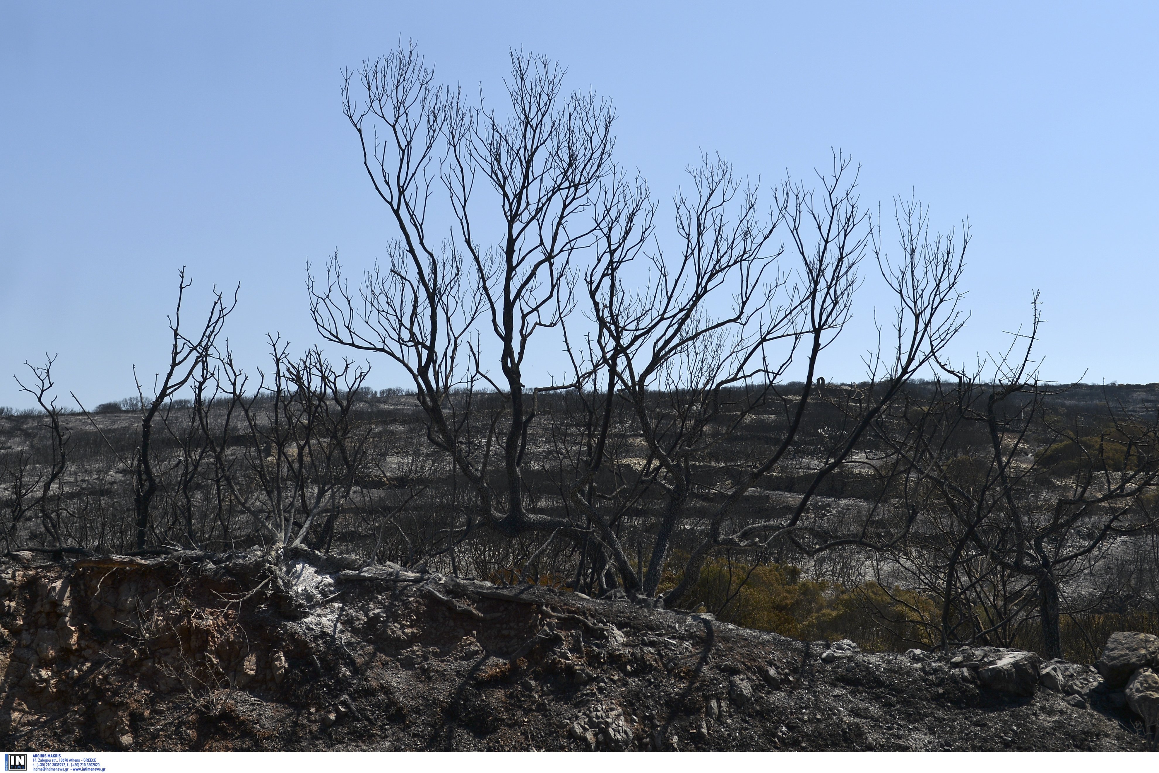 Ο «χάρτης» κι οι αιτίες των καταστροφών από τις δασικές πυρκαγιές το φετινό καλοκαίρι
