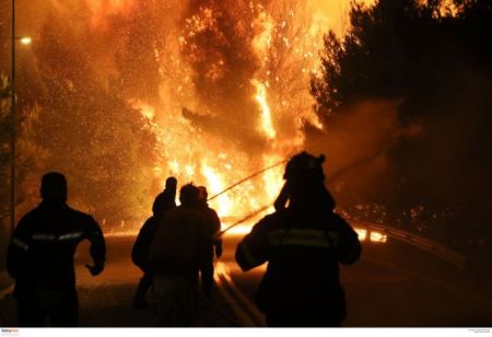 Ομορφα δάση, όμορφα καίγονται και αλλάζουν χρήση