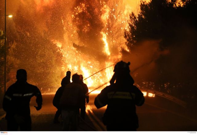 Ομορφα δάση, όμορφα καίγονται και αλλάζουν χρήση