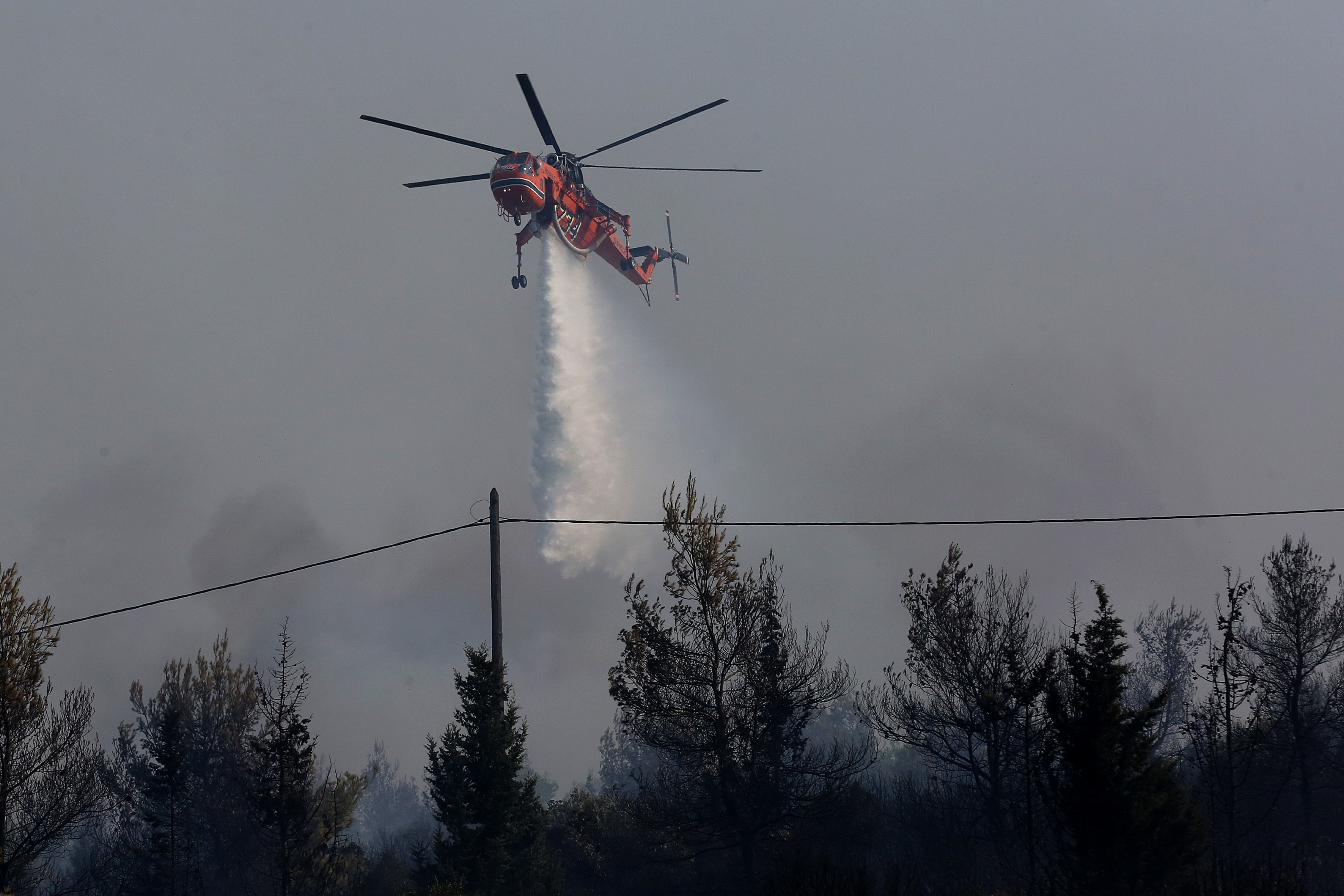Πυρκαγιά στην Ηλεία – Απομακρύνεται ο κίνδυνος για Ροδινά-Κοστομέρα