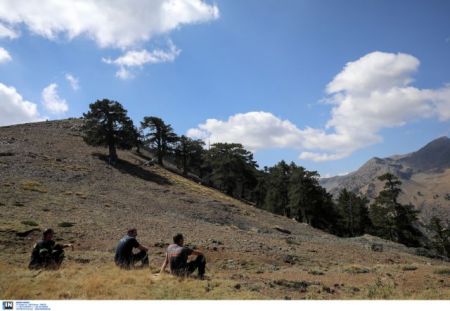 Ολοκληρώνεται η ανάρτηση των δασικών χαρτών